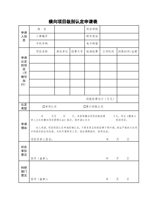 横向项目级别认定申请表