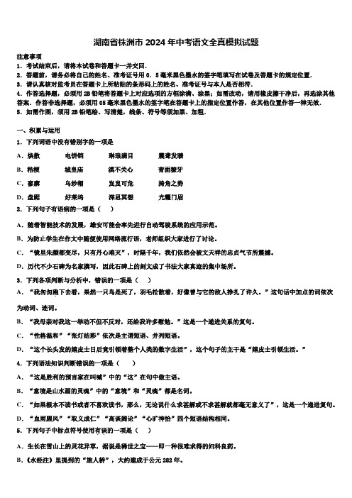 湖南省株洲市2024年中考语文全真模拟试题含解析