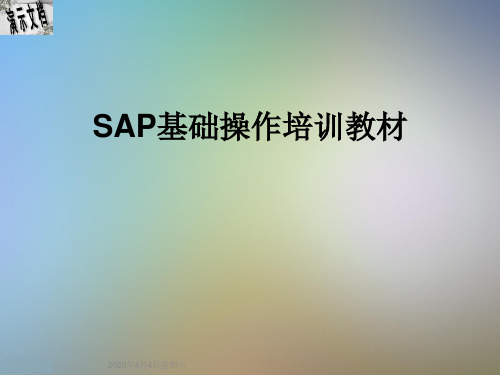 SAP基础操作培训教材