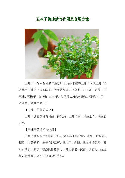 五味子的功效与作用及食用方法