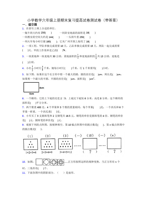 小学数学六年级上册期末复习提高试卷测试卷(带答案)