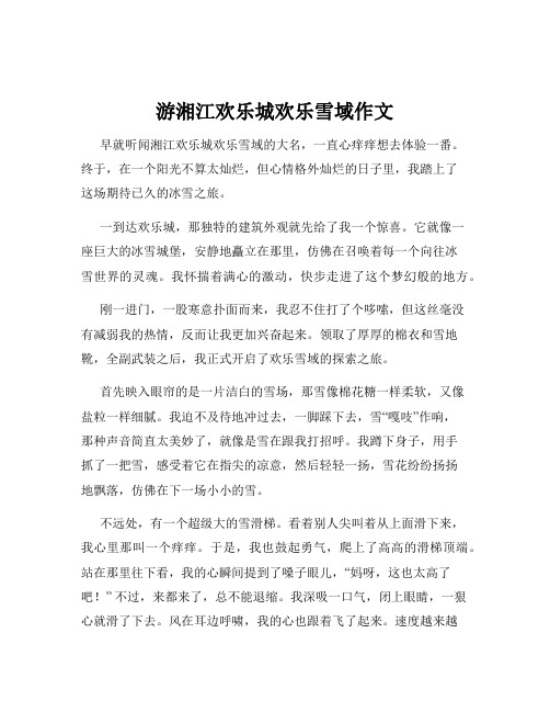 游湘江欢乐城欢乐雪域作文