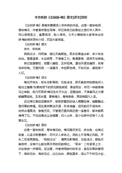 辛弃疾的《念奴娇·梅》原文译文赏析