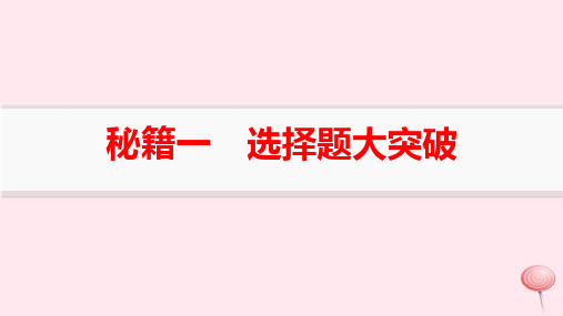 新高考新教材高考地理二轮复习第二编题型突破秘籍一选择题大突破pptx课件