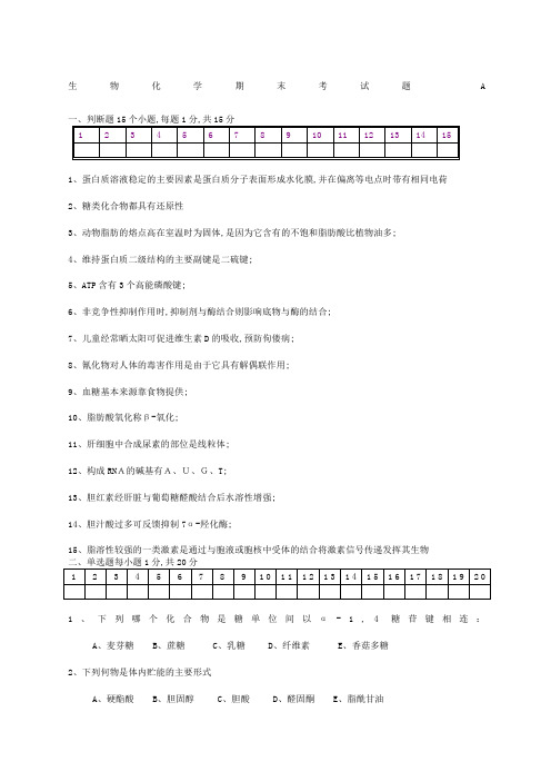 生物化学期末考试试题及答案