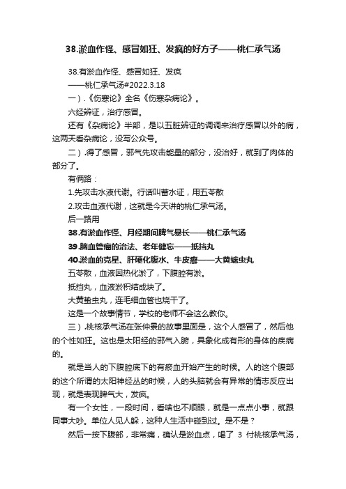 38.淤血作怪、感冒如狂、发疯的好方子——桃仁承气汤