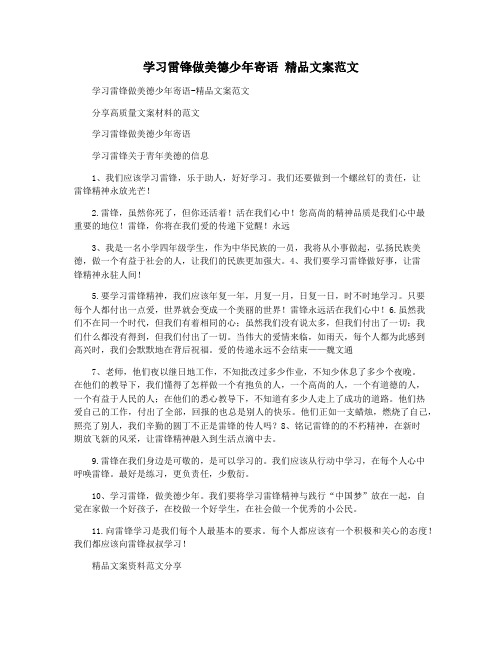 学习雷锋做美德少年寄语 精品文案范文