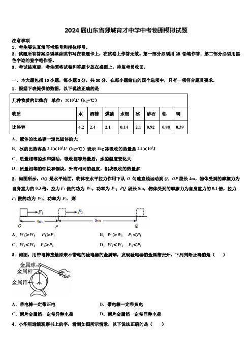 2024届山东省郯城育才中学中考物理模拟试题含解析