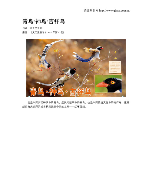 青鸟·神鸟·吉祥鸟