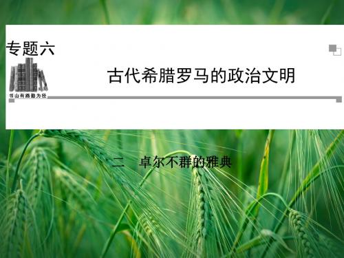 6.2 卓尔不群的雅典课件 人民版必修1课件