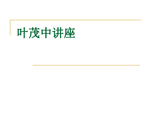 叶茂中讲座ppt课件-PPT文档资料