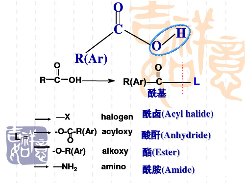 第十章 羟基酸 酮酸