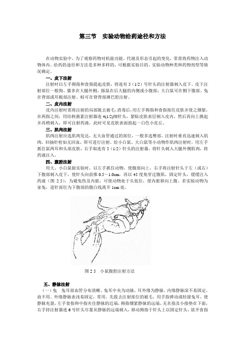 试验动物给药途径和方法