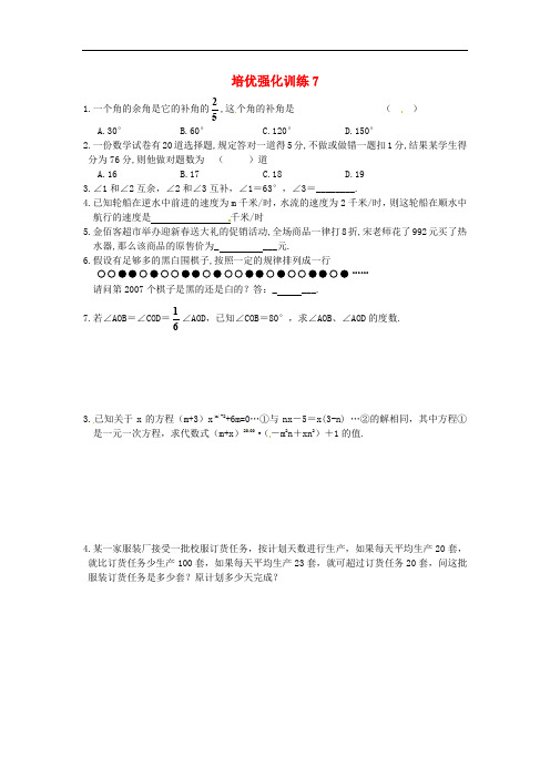 七年级数学上册 培优强化训练试题7 新人教版  含答案