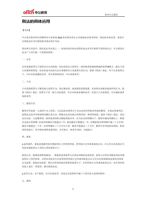 刑法的具体运用