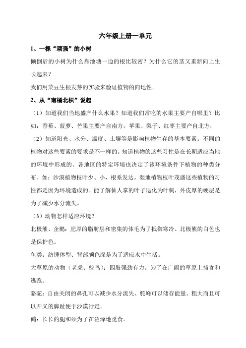 湘教版小学六年级科学复习提纲分解