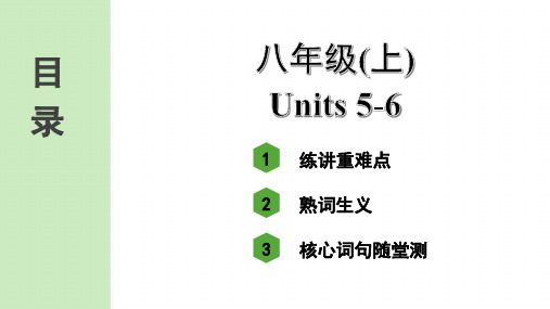 最新人教版中考英语知识点复习——八年级(上)  Units 5~6