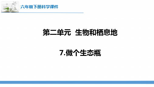 苏教版六年级下册科学.做个生态瓶课件