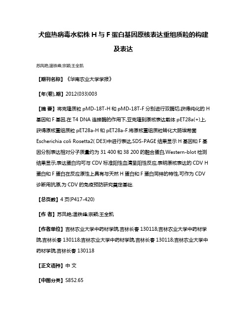 犬瘟热病毒水貂株H与F蛋白基因原核表达重组质粒的构建及表达