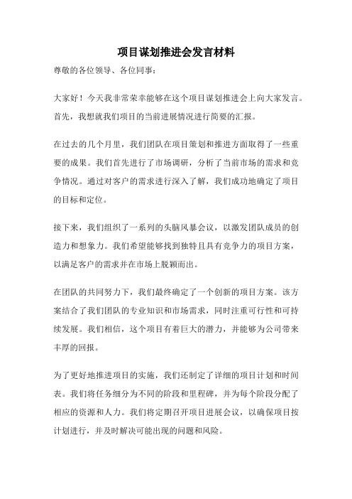 项目谋划推进会发言材料