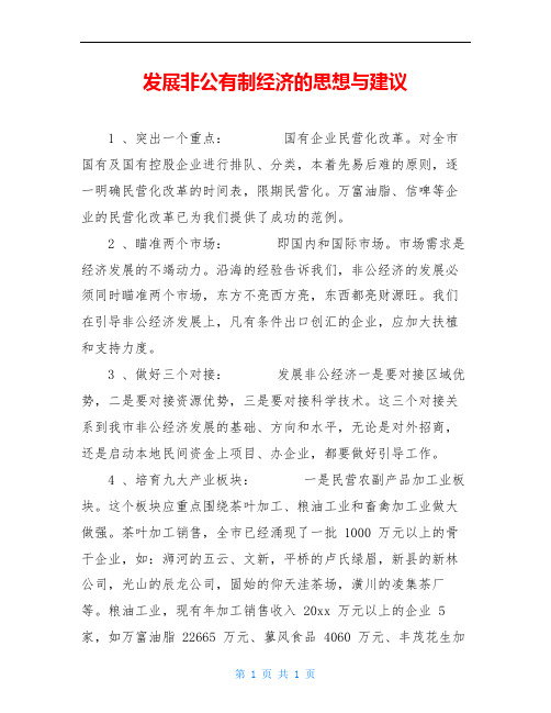 发展非公有制经济的思想与建议