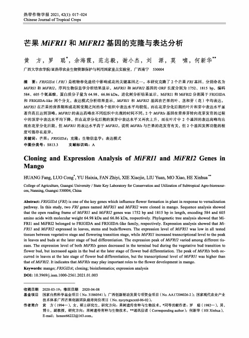 芒果MiFRI1和MiFRI2基因的克隆与表达分析