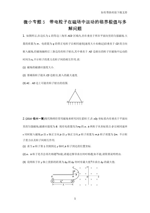 微小专题5带电粒子在磁场中运动的临界极值与多解问题