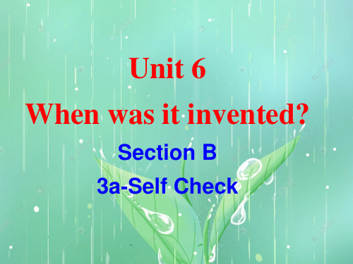 Unit6 SectionB 3a-Self Check课件- 人教版九年级英语全册 