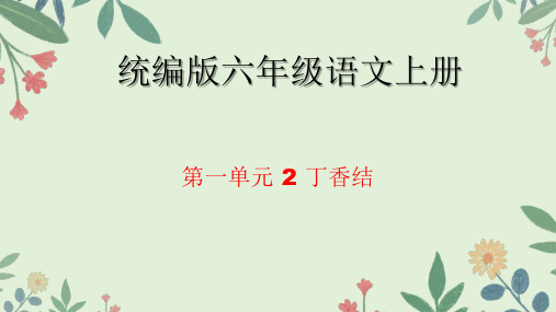 丁香结ppt课件