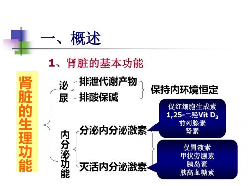 病理生理学肾功能不全ppt课件