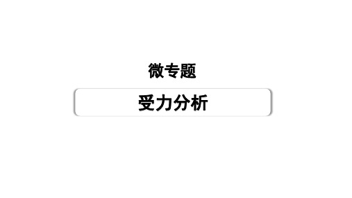 2025湖南中考物理二轮重点专题研究微专题受力分析(课件)