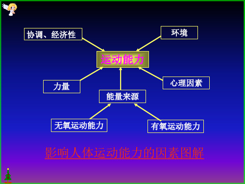 王步标运动生理学 12章有氧和无氧运动能力_PPT幻灯片