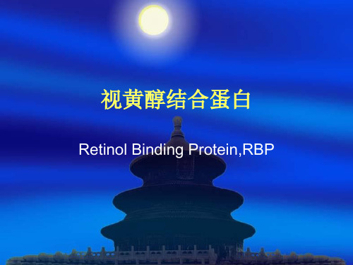 RBP-视黄醇结合蛋白(Renew)