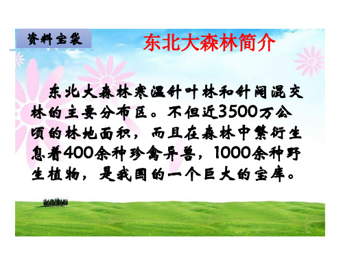 冀教版小学语文四年级下册课件17东北大森林课件