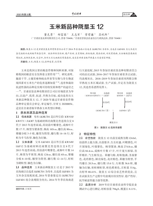 玉米新品种陇垦玉12