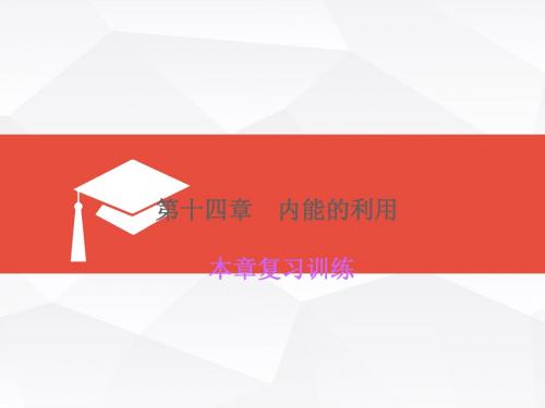 物理 九年级上册( 新人教版)第十四章 内能的利用 复习训练课件 (22张)