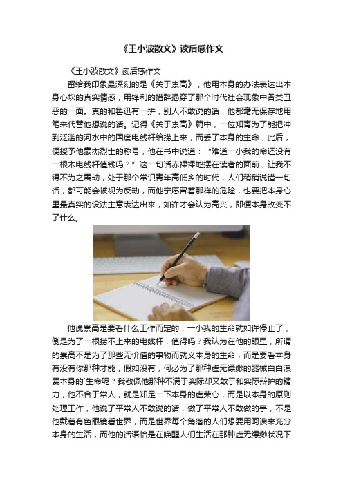 《王小波散文》读后感作文