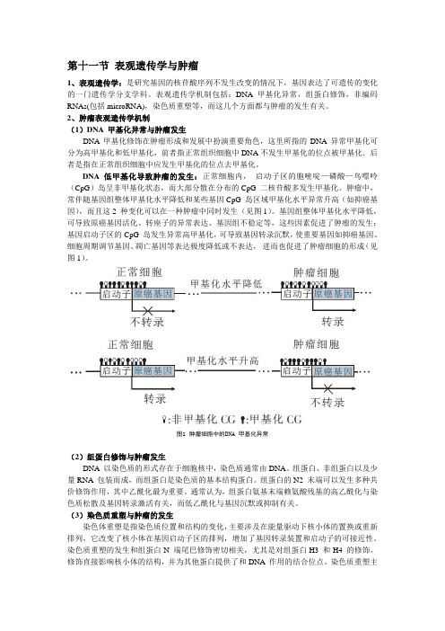 第十一节 表观遗传学与肿瘤