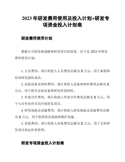 2023年研发费用使用及投入计划+研发专项资金投入计划表