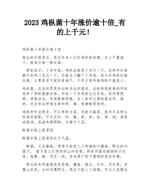 2023鸡枞菌十年涨价逾十倍_有的上千元!