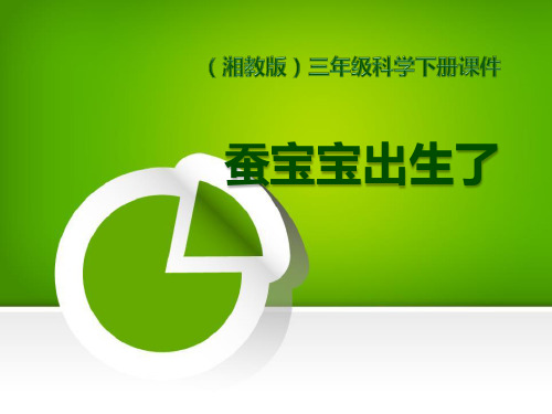 《蚕宝宝出生了》我们来养蚕.PPT(新版本)