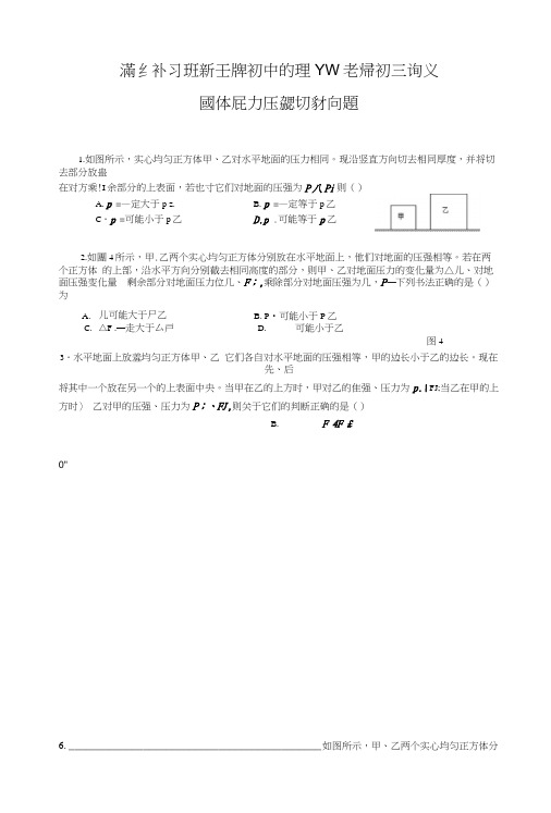 浦东补习班新王牌初中物理张YW老师初三讲义.docx