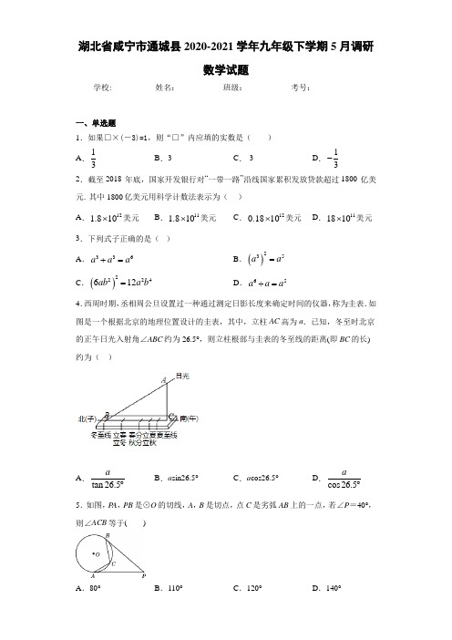 湖北省咸宁市通城县2020-2021学年九年级下学期5月调研数学试题