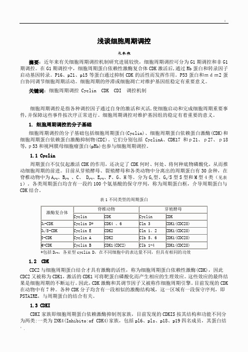 浅谈细胞周期调控