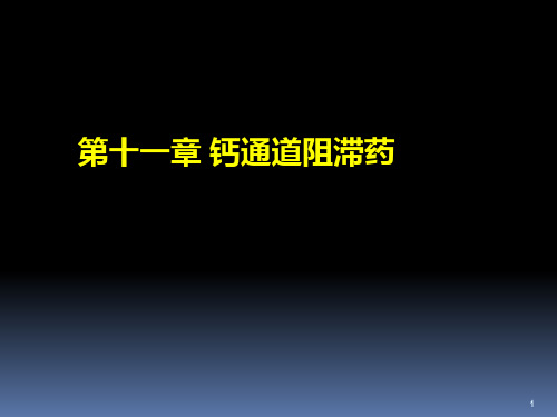 21 钙通道阻滞药-11-20(完整)