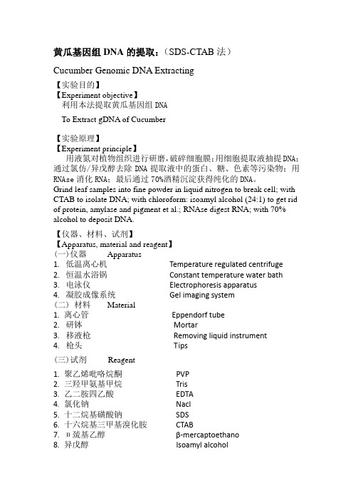 植物DNA提取方法