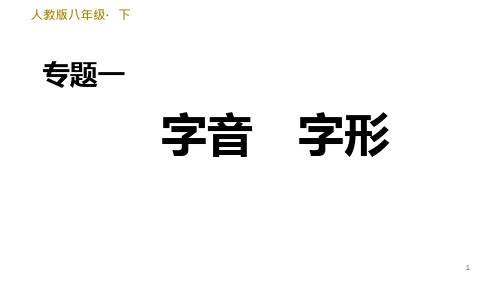 部编版八年级语文下册期末复习专题一-字音-字形课件