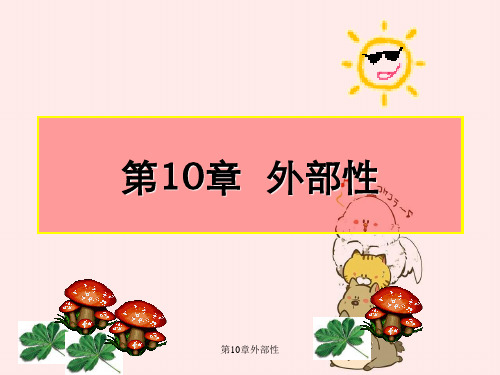 第10章外部性