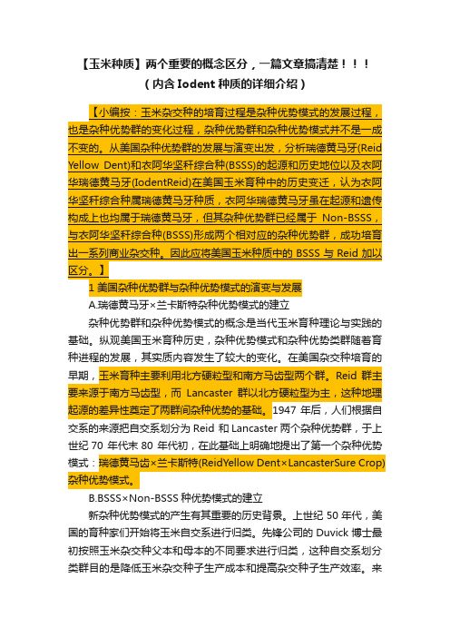 【玉米种质】两个重要的概念区分，一篇文章搞清楚！！！（内含Iodent种质的详细介绍）