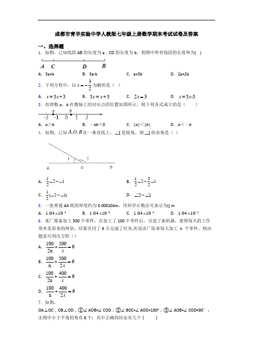 成都市青羊实验中学人教版七年级上册数学期末考试试卷及答案